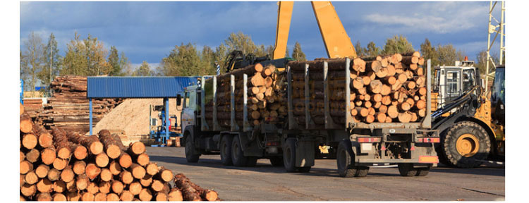 河南籃球館運動木地板施工團隊