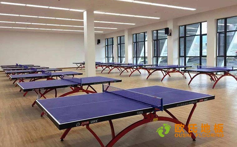 乒乓球館木地板